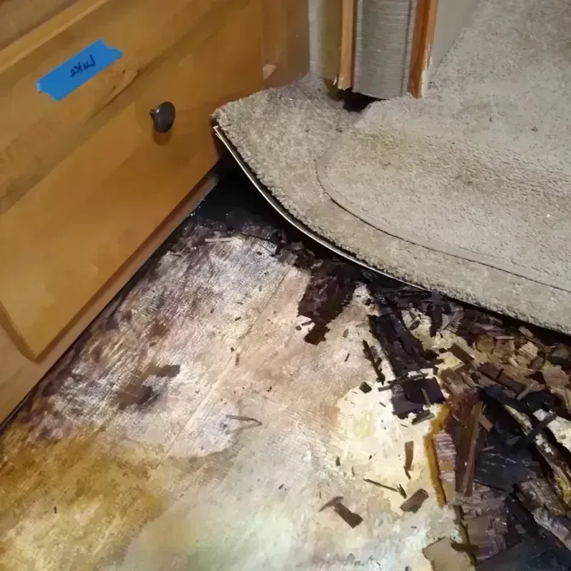 Wood Floor Water Damage in Holly Springs, GA